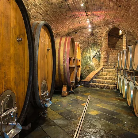 Weingut Skoff Original 게스트하우스 게믈리츠