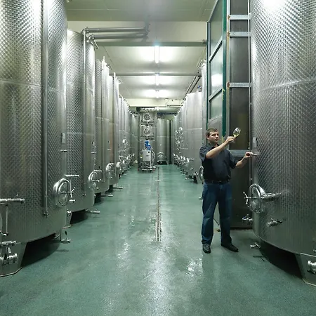 게스트하우스 Weingut Skoff Original 게믈리츠