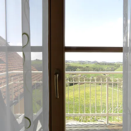 게스트하우스 Weingut Skoff Original 게믈리츠