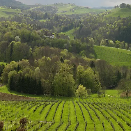 Weingut Skoff Original