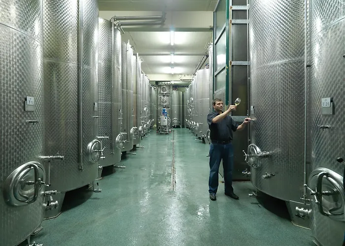 Gasthuis Weingut Skoff Original Gamlitz